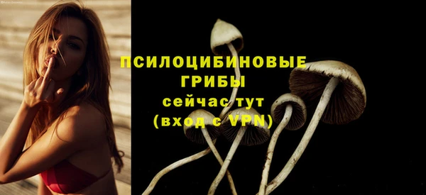 прущая мука Каменка