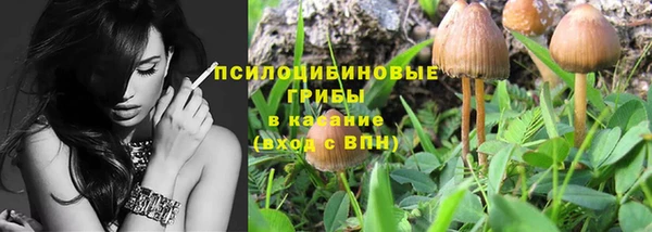 таблы Каменногорск