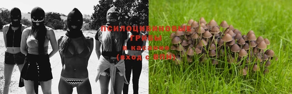 прущая мука Каменка