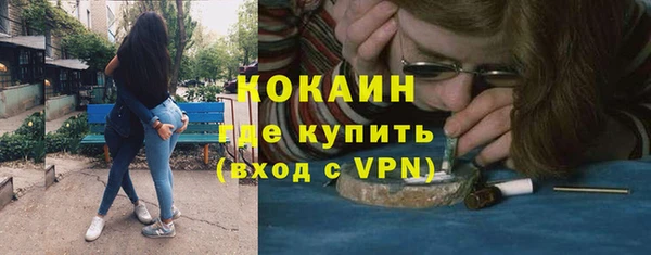 прущая мука Каменка